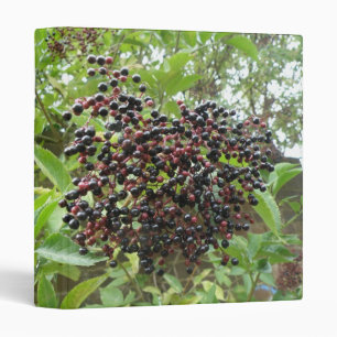 Classeur Album photographique pour les airelles