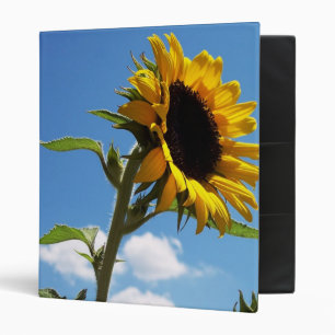 Classeur Album photos de tournesol