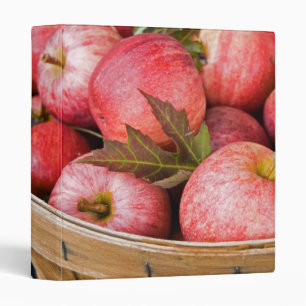 Classeur Aliments d'automne
