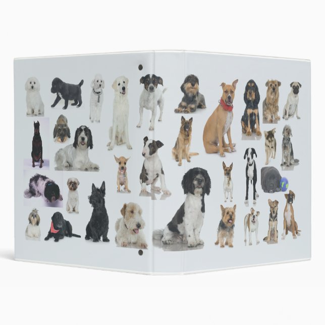 Classeur Allé aux chiens (Arrière-plan)
