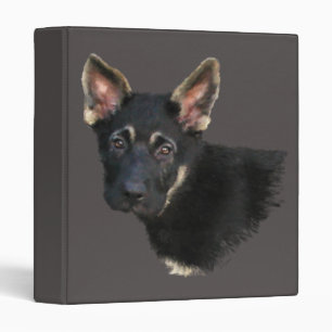 Classeur allemand Shepard Puppy