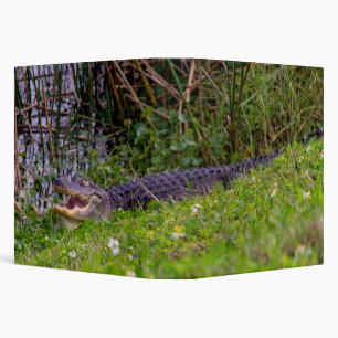 Classeur Alligator américain se reposant au bord de l'eau