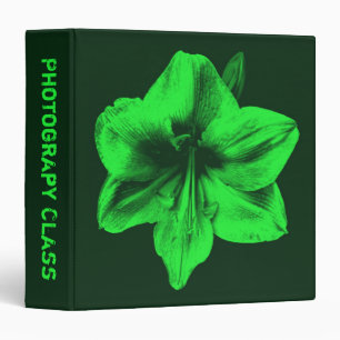 Classeur Amaryllis vert