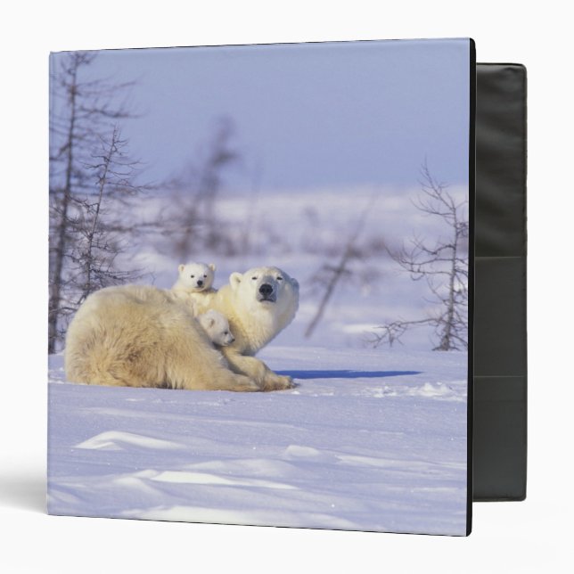 Classeur Amérique du Nord, Canada, Manitoba, Churchill. 9 (Devant/Intérieur)