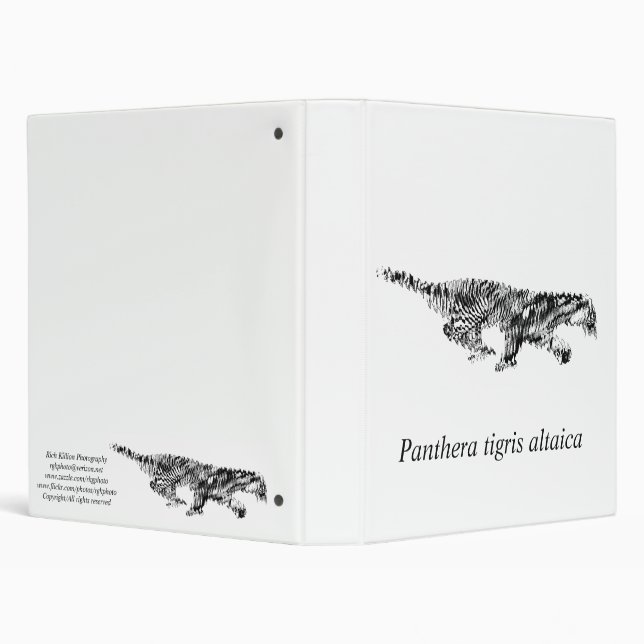 Classeur Amur Tiger#2 (Arrière-plan)