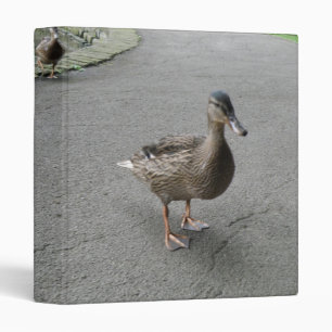 Classeur Amusant canard en barque Album photo