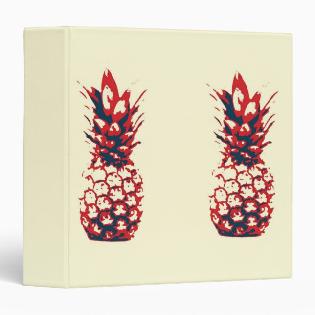 Classeur Ananas (Devant/Côté)