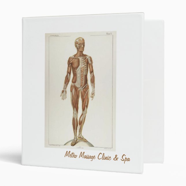 Classeur Anatomie antérieure (Devant/intérieur)