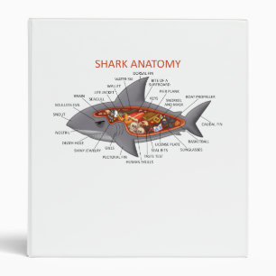 Classeur Anatomie de requin