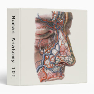 Classeur Anatomie humaine de la science vintage, visage ave