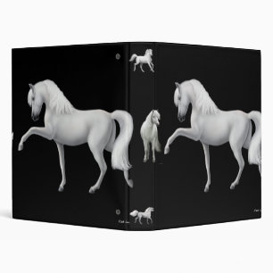 Classeur andalou d'Avery de cheval