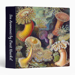 Classeur Anémones de mer vintage sous-marines par Ernst Hae