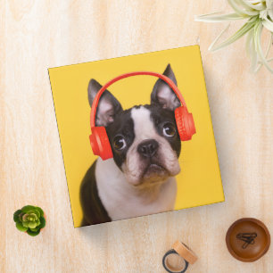Classeur Animaux de bébés cutest   Casques Terrier de Bosto
