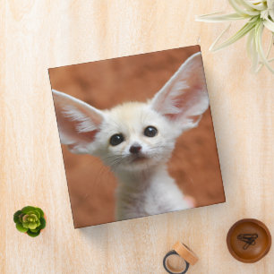 Classeur Animaux de bébés cutest Fennec Fox Pup