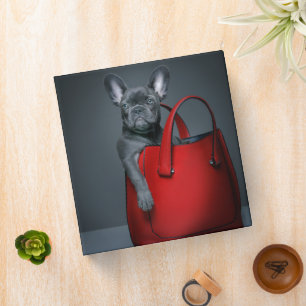 Classeur Animaux de bébés cutest French Bulldog dans le s