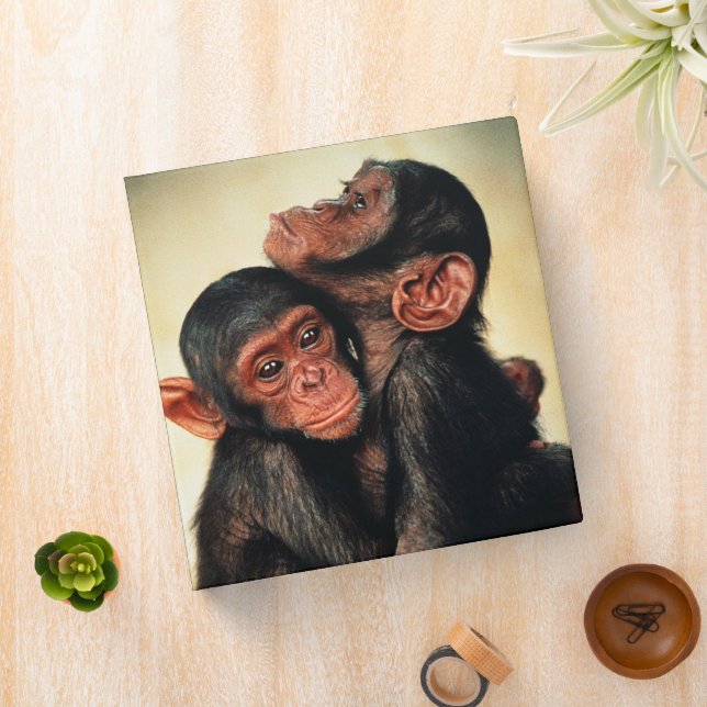 Classeur Animaux de bébés cutest | Hug de chimpanzé (In Situ)