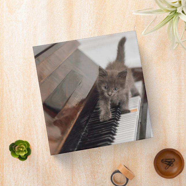 Classeur Animaux de bébés cutest | Kitten sur piano (In Situ)