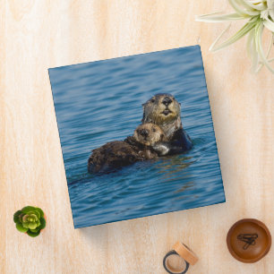 Classeur Animaux de bébés cutest   Mère & Bébé Sea Otter