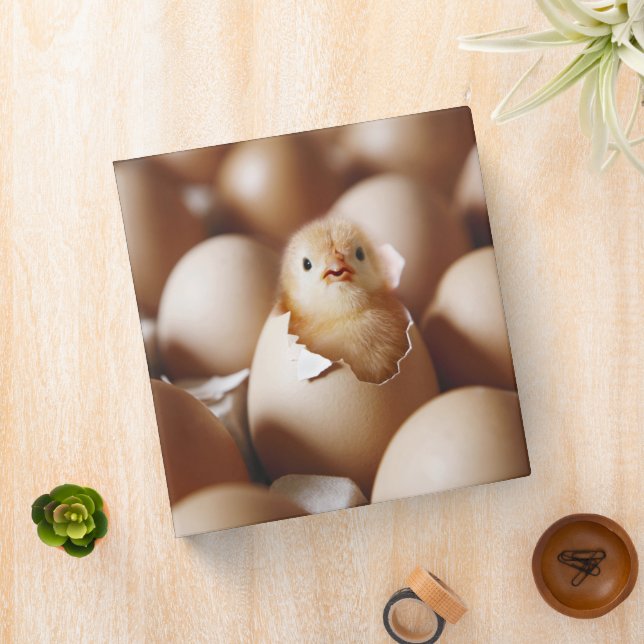 Classeur Animaux de bébés cutest | Nouveau bébé poussin (In Situ)