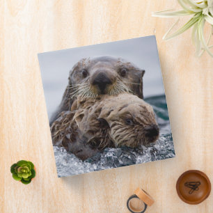 Classeur Animaux de bébés cutest   Otter Baby & Mère