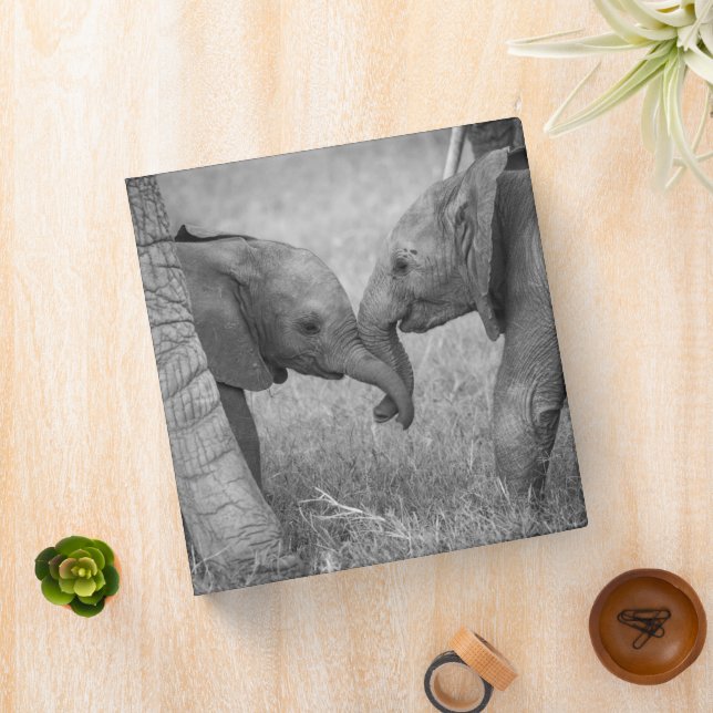 Classeur Animaux de bébés cutest | Salutation des éléphants (In Situ)
