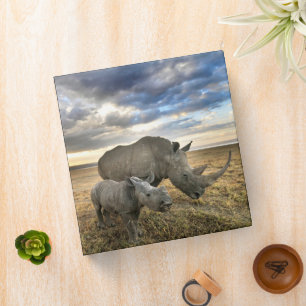 Classeur Animaux de bébés cutest White Rhino & Calf