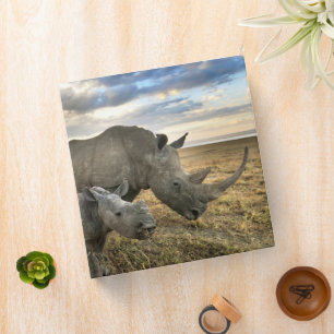 Classeur Animaux de bébés cutest White Rhino & Calf
