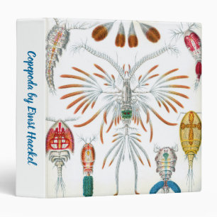 Classeur Animaux océaniques vintage, Copépodes par Ernst Ha