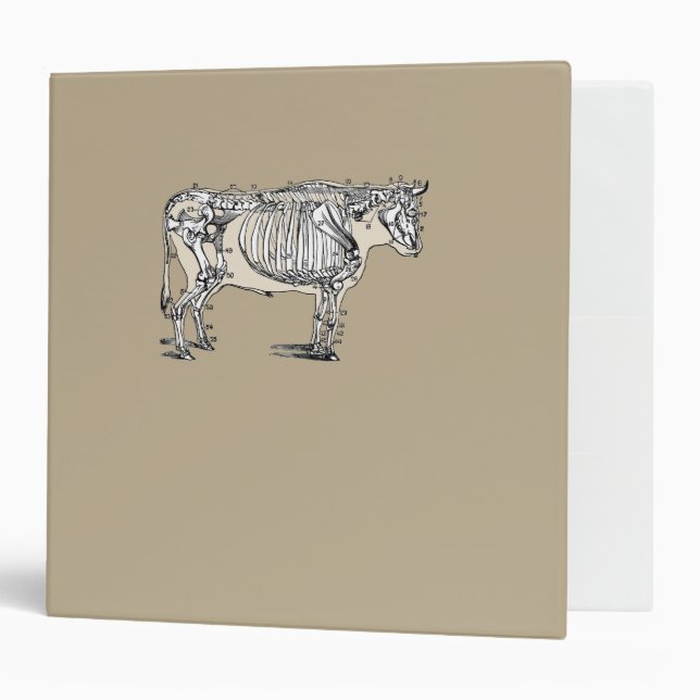 Classeur Antique Cow Skeleton Bones (Devant/intérieur)