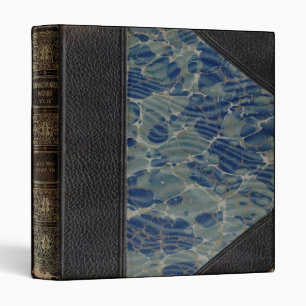 Classeur antique de Shakespeare de livre
