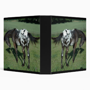 Classeur Appaloosa Horse