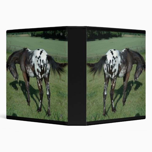Classeur Appaloosa Horse (Arrière-plan)