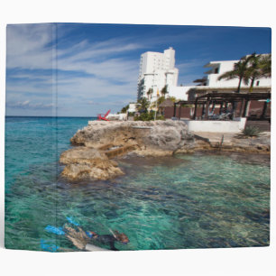 Classeur Apprenant au piqué de scaphandre, Cozumel Mexique
