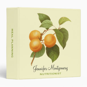 Classeur Apricots orange vintage