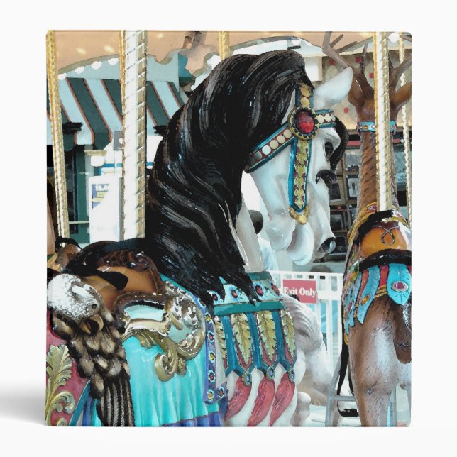 Classeur Aquarelle Joyeux-Go-Round Cheval (Devant)