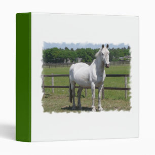 Classeur arabe de cheval