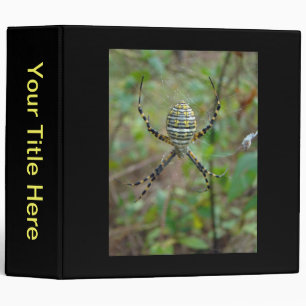Classeur Araignées de tisserand de globe d'Argiope