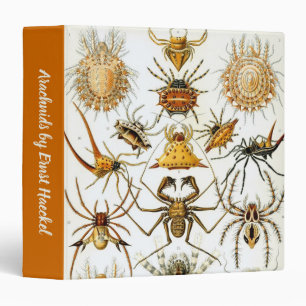 Classeur Araignées ou arachnides vintages par Ernst Haeckel