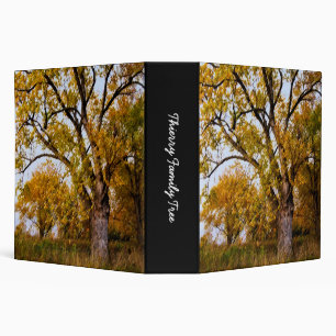 Classeur Arbre généalogique de Thierry (2")