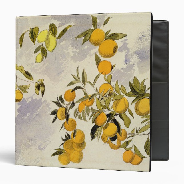 Classeur Arbres oranges, 1863 (la semaine, graphite fini à (Devant/Intérieur)