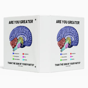 Classeur Are You Greater Than The Sum Of Your Parts ? Brain
