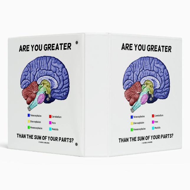 Classeur Are You Greater Than The Sum Of Your Parts ? Brain (Arrière-plan)