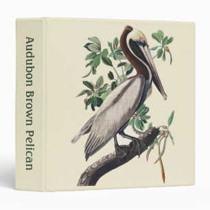 Classeur Art Vintage Audubon Pélican Brun Oiseau de la Côte