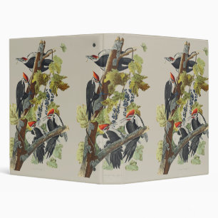 Classeur Art vintage d'oiseau pic à tête rouge d'Audubon