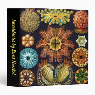Classeur Ascidiae par Ernst Haeckel, Animaux marins Vintage