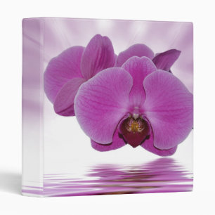 Classeur Aurore tropicale