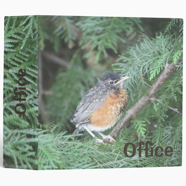 Classeur Avec Robin (Devant/Côté)