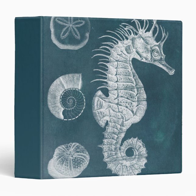 Classeur Azure Seahorse Study I (Devant/Côté)