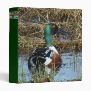 Classeur B26 Canard souchet