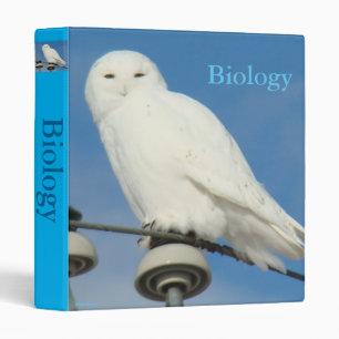 Classeur B50 Harfang des neiges